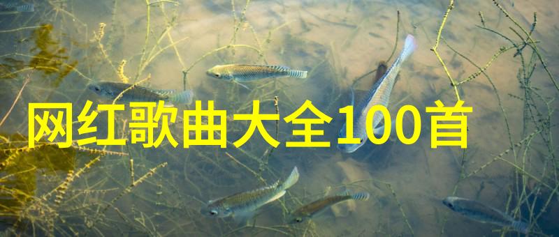 Selina首唱内地剧主题曲 暖心填词她很漂亮