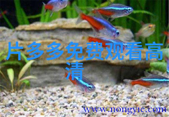 高分冲奥佳片小妇人曝马奇姐妹花特辑 个性鲜明人见人爱