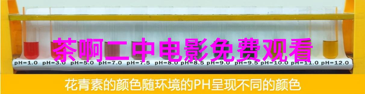 黄鹏人担纲总策划的订制爱情新闻发布会在沪举行