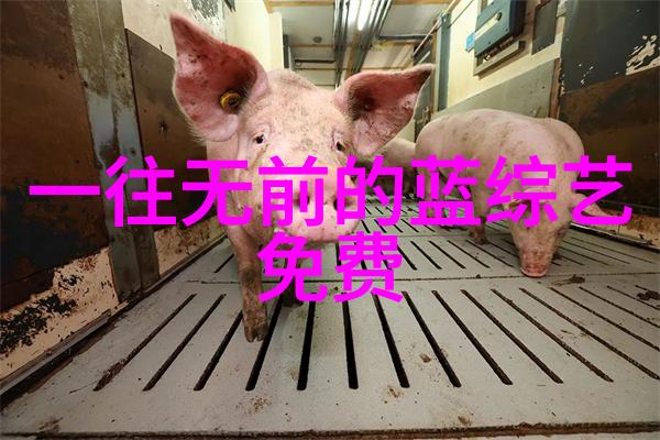 杜丽莎创唤醒票数最高纪录 黄绮珊吐槽与原唱不相往来