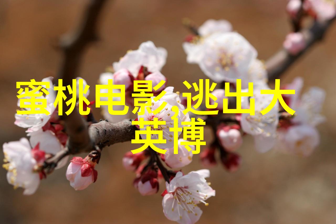 郑元畅王丽坤集体回忆初恋一票难求迎来重生爱人