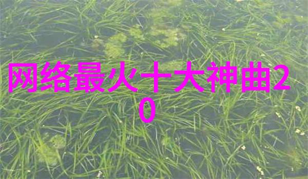 跨界歌王战况再燃 梁译木走心演绎经典曲目