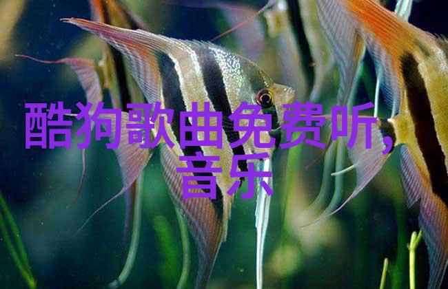 Shiny大玩变身秀萝莉塔萌萌哒MV剧组直呼恋爱了