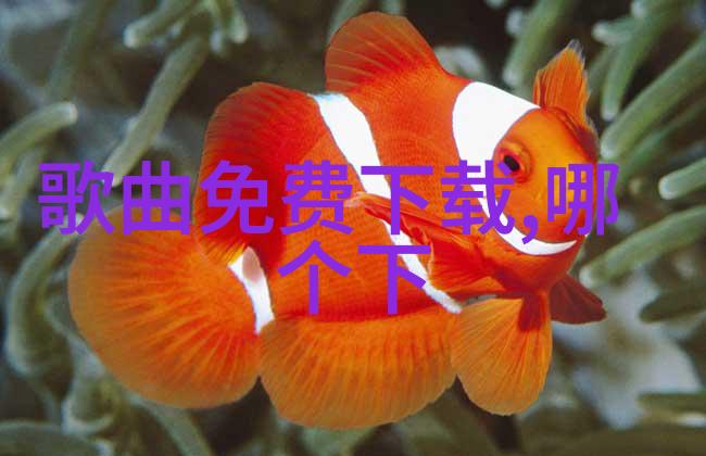 A Pink全体出动看rain演唱会 后台合影表决心图