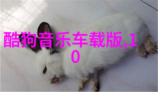 中日韩鸟巢演唱会 super junior压轴点燃全场