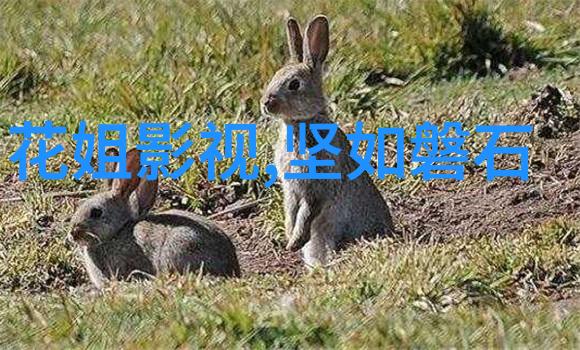 鼎泰网络营销公司成功举办穷途电影发布会