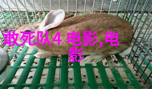 谭卓误杀破5亿燃爆贺岁档 如梦之梦七饰⻘年顾香兰