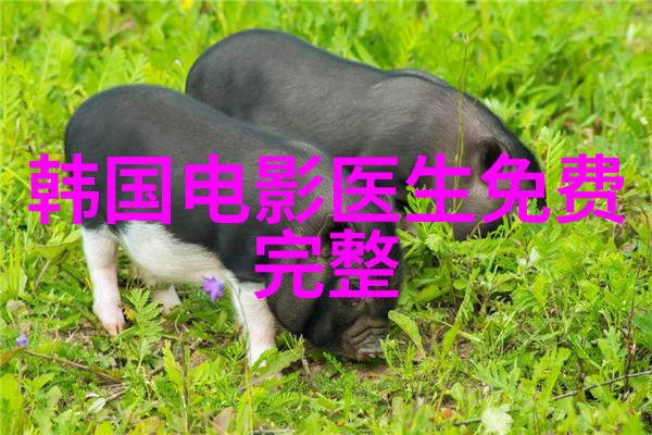 銆婇緳鐗屼箣璋溿嬪彂甯冣滃彫鍞榫欌濈増涔濆鏍兼捣鎶 瑙攣浣犱粠鏈杩囩殑濂囧够涓栫晫