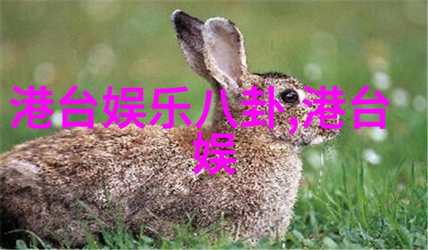职员赈灾捐款比领导多100元被退回