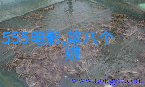 黎明饰许文强携手高圆圆联手打造中国版教父